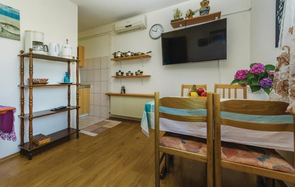 Apartments With A Parking Space Novigrad - 14408 エクステリア 写真